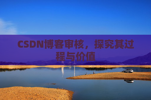 CSDN博客审核，探究其过程与价值